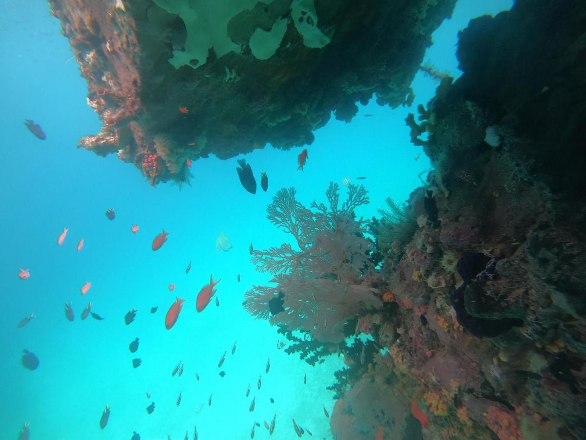 Meos Ambower Homestay Raja Ampat Fam Εξωτερικό φωτογραφία