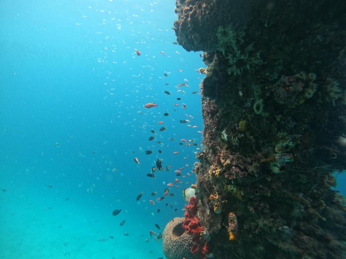 Meos Ambower Homestay Raja Ampat Fam Εξωτερικό φωτογραφία
