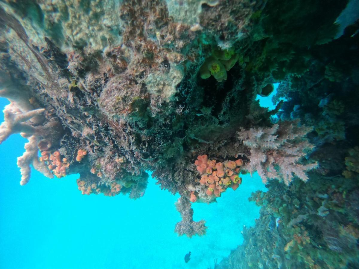 Meos Ambower Homestay Raja Ampat Fam Εξωτερικό φωτογραφία