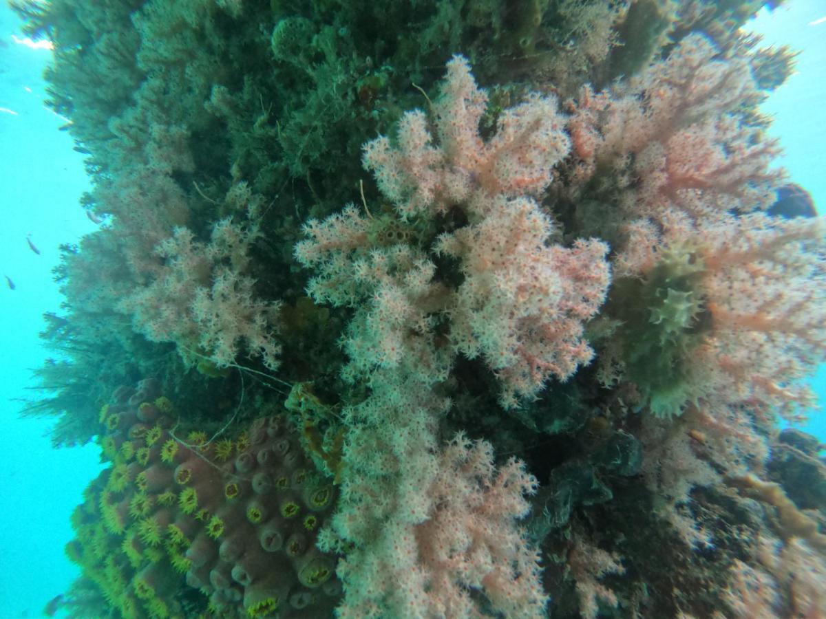 Meos Ambower Homestay Raja Ampat Fam Εξωτερικό φωτογραφία