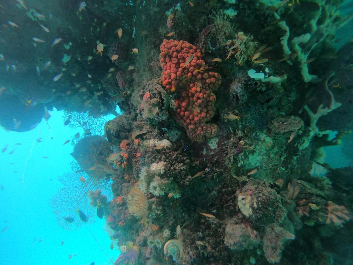 Meos Ambower Homestay Raja Ampat Fam Εξωτερικό φωτογραφία