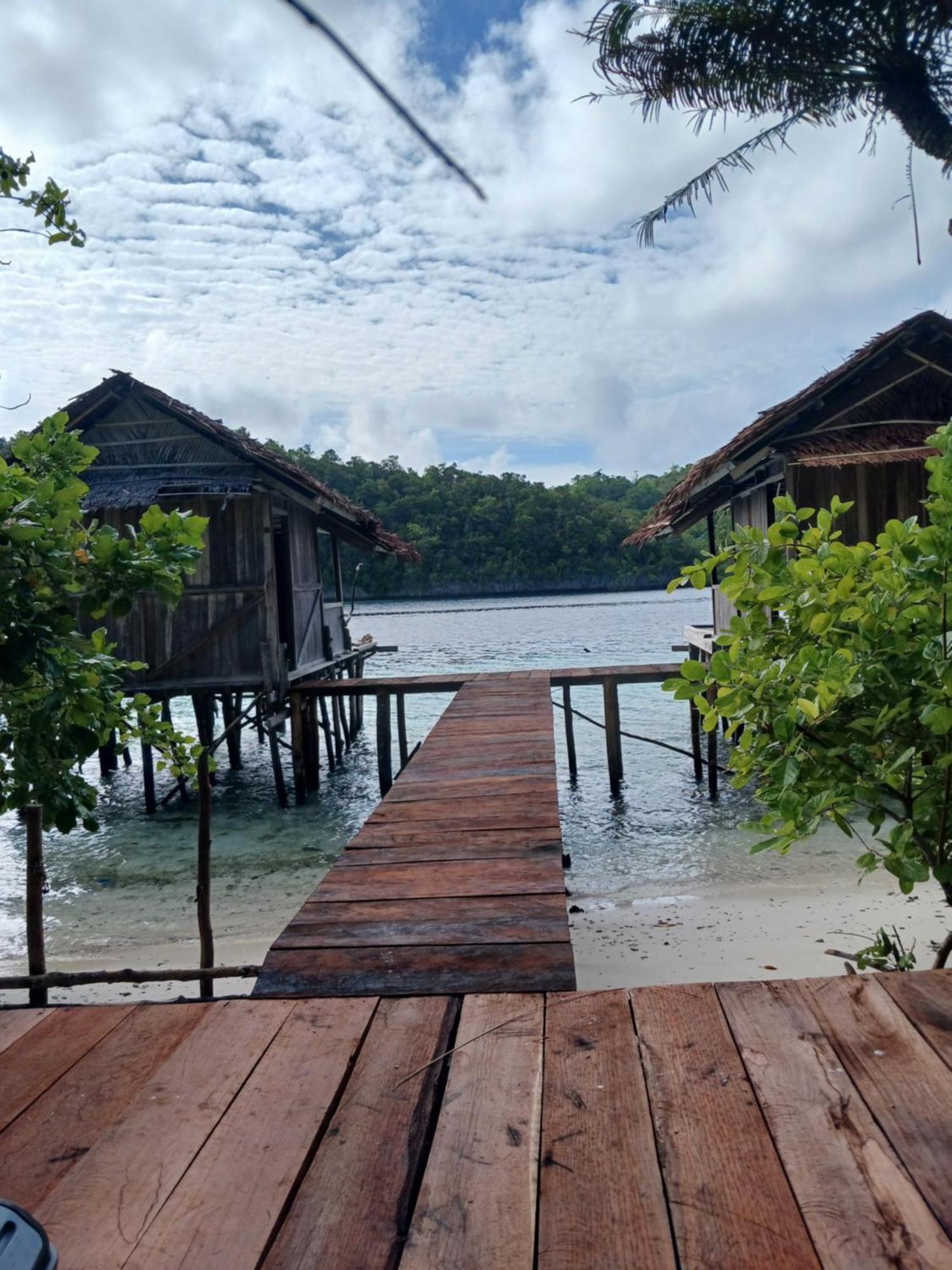 Meos Ambower Homestay Raja Ampat Fam Εξωτερικό φωτογραφία